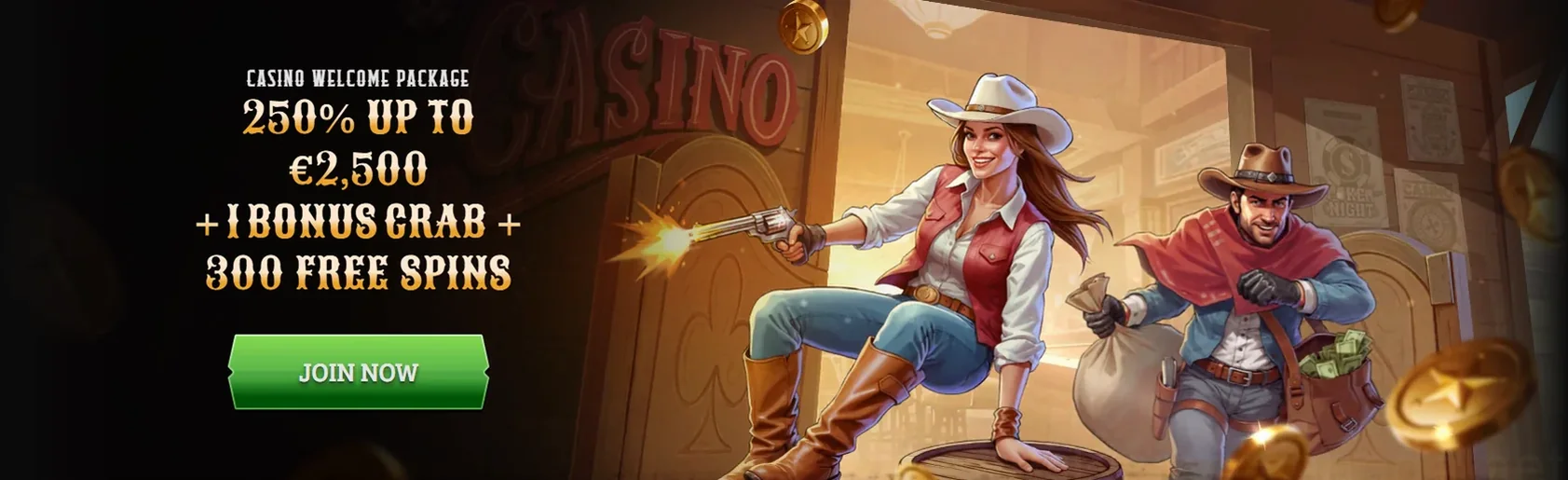 Wildsino Casino Welcome